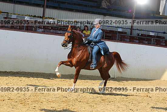 Proof 09r2-0935