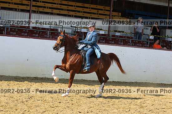 Proof 09r2-0936