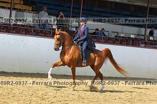 Proof 09r2-0937