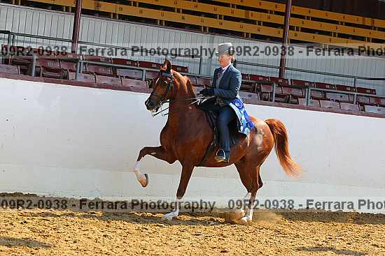 Proof 09r2-0938