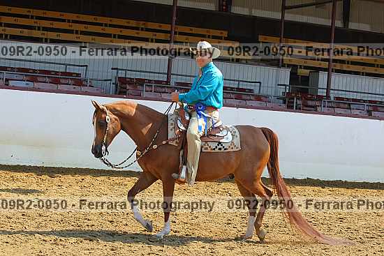 Proof 09r2-0950