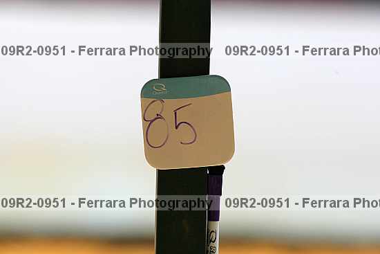Proof 09r2-0951