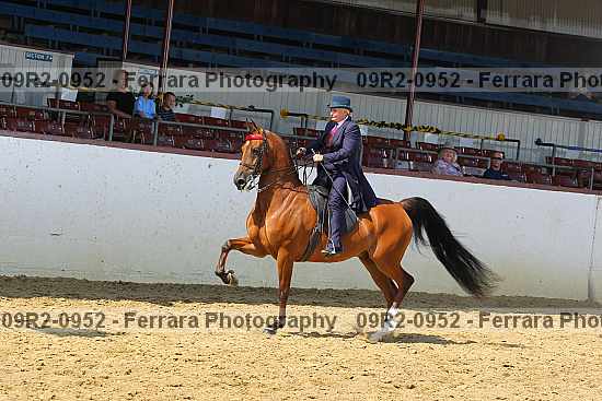 Proof 09r2-0952