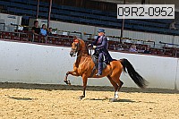 09r2-0952 proof