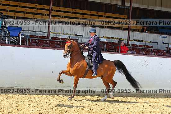 Proof 09r2-0953