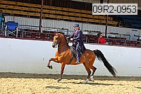 09r2-0953 proof