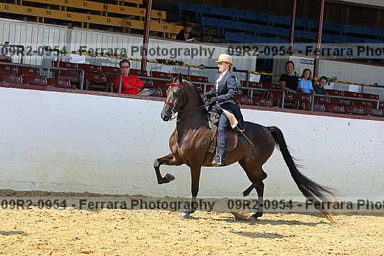 Proof 09r2-0954