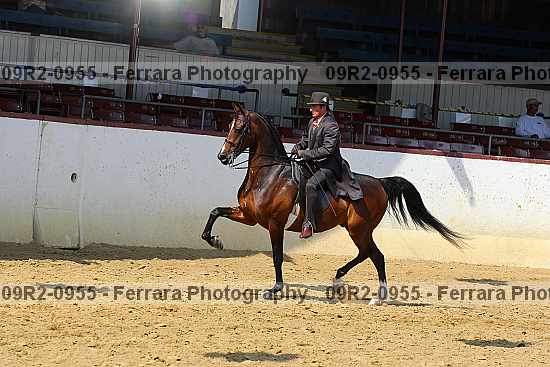 Proof 09r2-0955