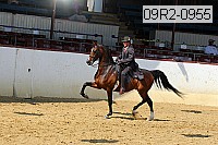 09r2-0955 proof