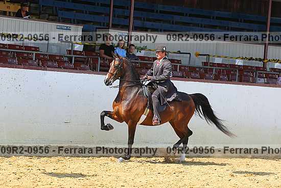 Proof 09r2-0956