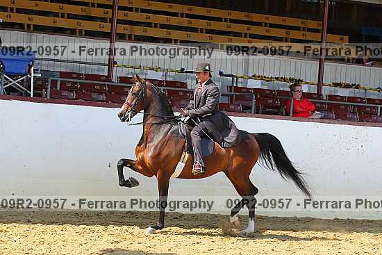 Proof 09r2-0957