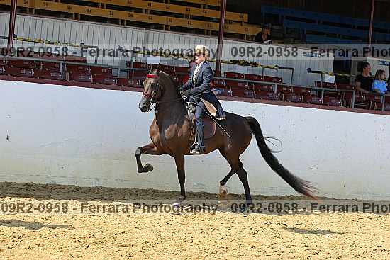Proof 09r2-0958