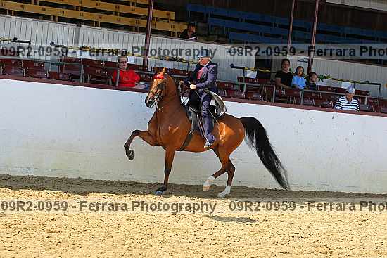 Proof 09r2-0959