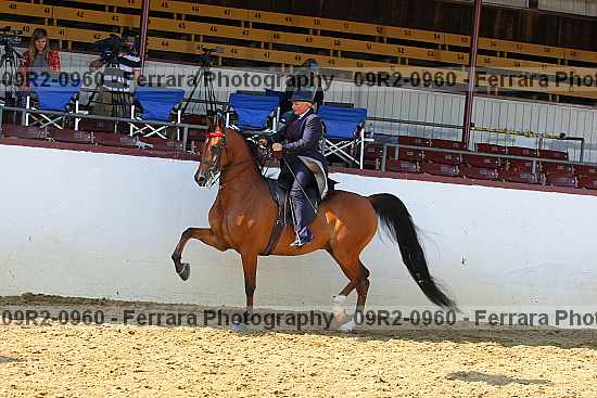Proof 09r2-0960