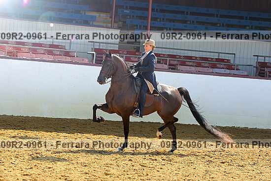Proof 09r2-0961