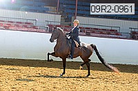 09r2-0961 proof