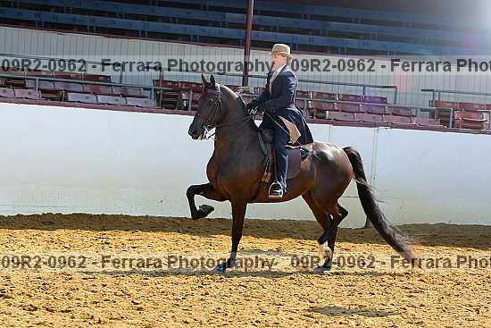 Proof 09r2-0962
