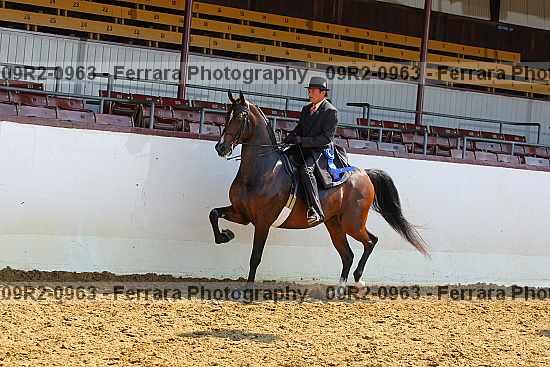 Proof 09r2-0963