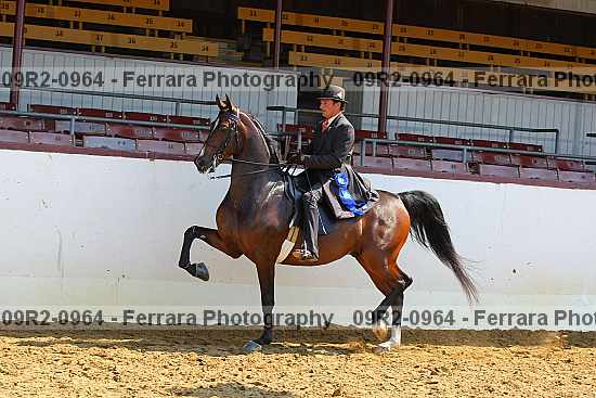 Proof 09r2-0964