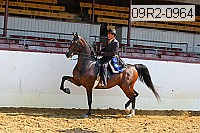 09r2-0964 proof