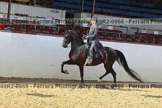 Proof 09r2-0966