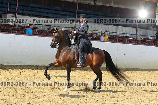 Proof 09r2-0967