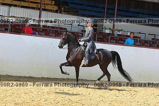 Proof 09r2-0969