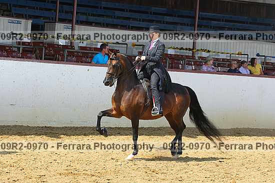 Proof 09r2-0970