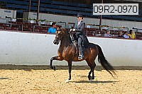 09r2-0970 proof