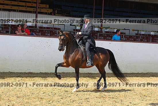 Proof 09r2-0971