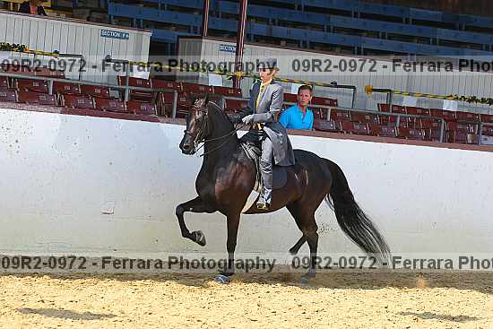 Proof 09r2-0972