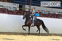 09r2-0972 proof
