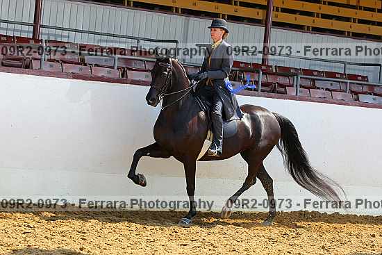 Proof 09r2-0973