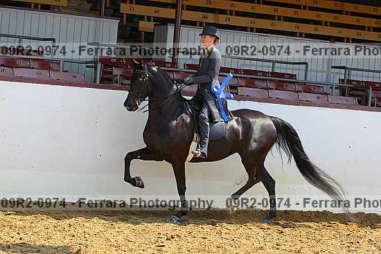 Proof 09r2-0974
