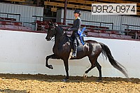09r2-0974 proof