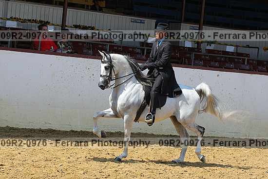 Proof 09r2-0976