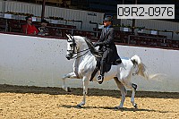 09r2-0976 proof