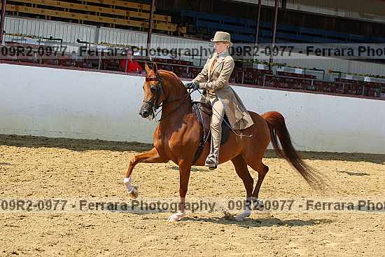 Proof 09r2-0977