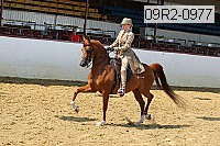 09r2-0977 proof