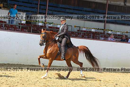 Proof 09r2-0978