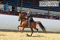09r2-0978 proof
