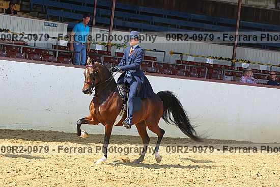 Proof 09r2-0979