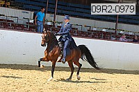 09r2-0979 proof
