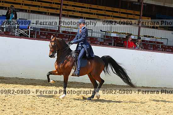 Proof 09r2-0980