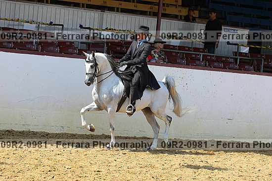 Proof 09r2-0981