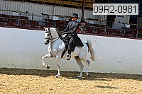 09r2-0981 proof