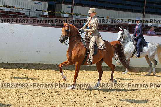 Proof 09r2-0982