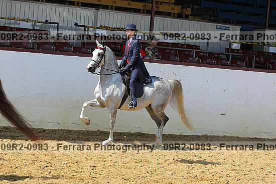 Proof 09r2-0983