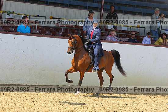 Proof 09r2-0985