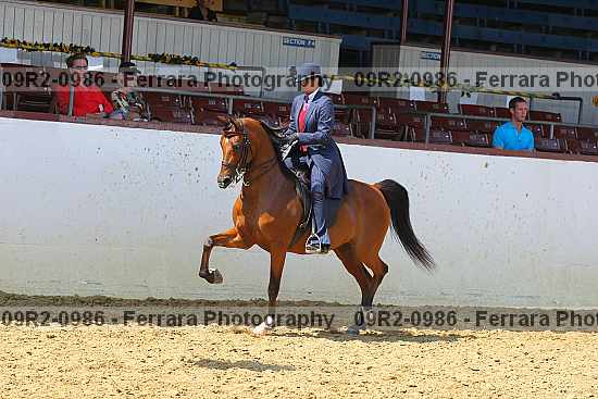 Proof 09r2-0986